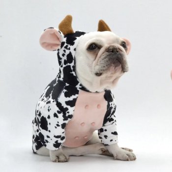 Funny Cow and Pig Dog Costume
