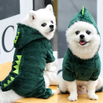 Funny Dinosaur Halloween Costume for Small Pets