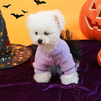 Pet Halloween Mesh Dress Hoodie