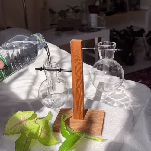 Creative Bulb Glass Desktop Planter with Wooden Stand