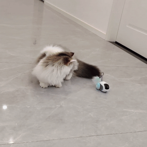 Intelligent Remote Control Sports Car Cat Toy1