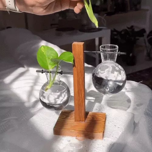 Creative Bulb Glass Desktop Planter with Wooden Stand2