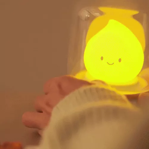 Cute Mini LED Night Lamp2