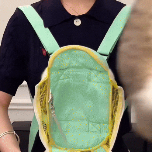 Stylish Pet Carrier Backpack for Small Dogs and Cats (1)