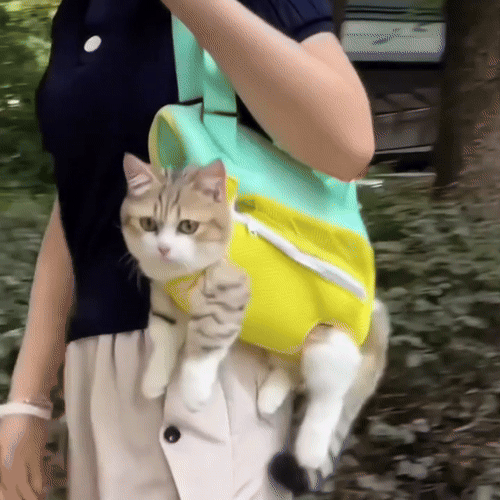 Stylish Pet Carrier Backpack for Small Dogs and Cats (2)