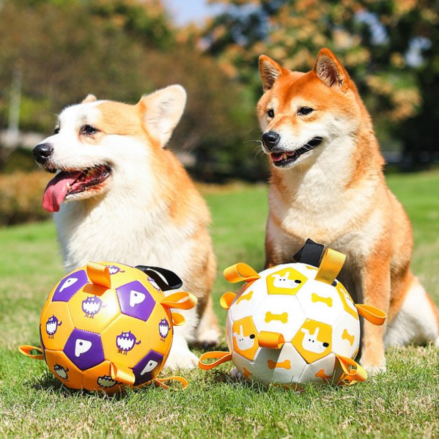 Interactive Dog Football Toy with Grab Tabs - Image 2
