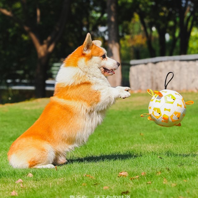 Interactive Dog Football Toy with Grab Tabs - Image 4