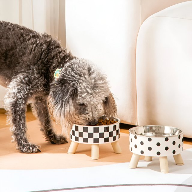 Raised Cat Feeder Bowl with Anti-Choking Design - Image 5