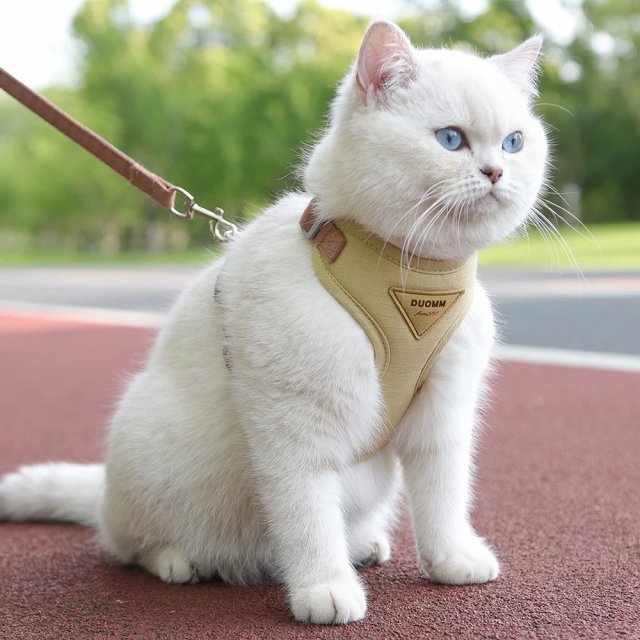 Soft Mesh Cat and Dog Vest Harness with Leash Set - Image 4