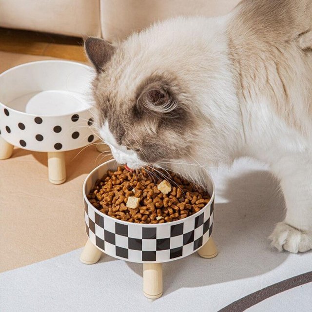 Raised Cat Feeder Bowl with Anti-Choking Design - Image 3