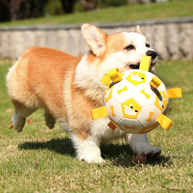 Interactive Dog Football Toy with Grab Tabs - Image 5