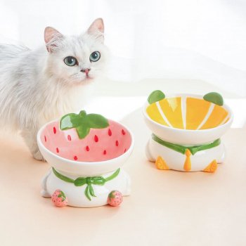 Ceramic Cat & Dog Bowl with Neck Protection
