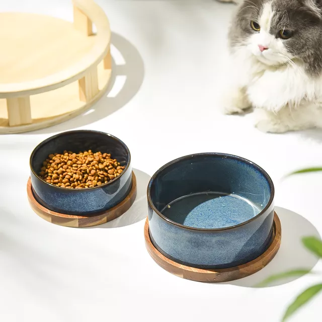 Ergonomic Ceramic Cat & Dog Food Bowl with Spine Protection and Anti-Rollover Design - Image 4