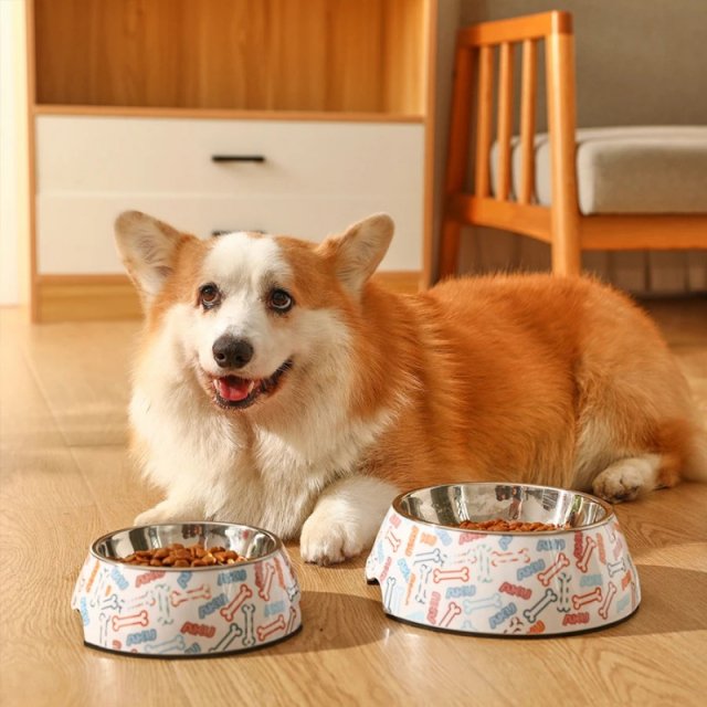 Stainless Steel Anti-Tip Pet Bowl - Image 4