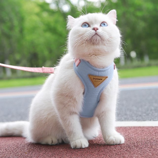 Soft Mesh Cat and Dog Vest Harness with Leash Set - Image 5