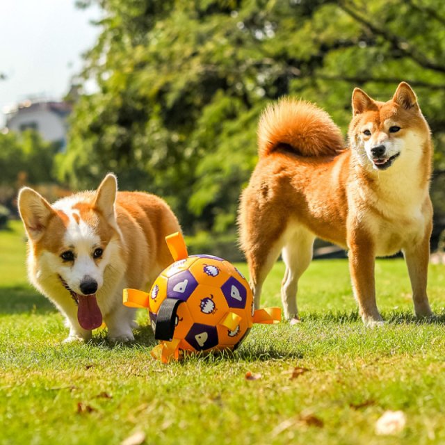 Interactive Dog Football Toy with Grab Tabs - Image 3