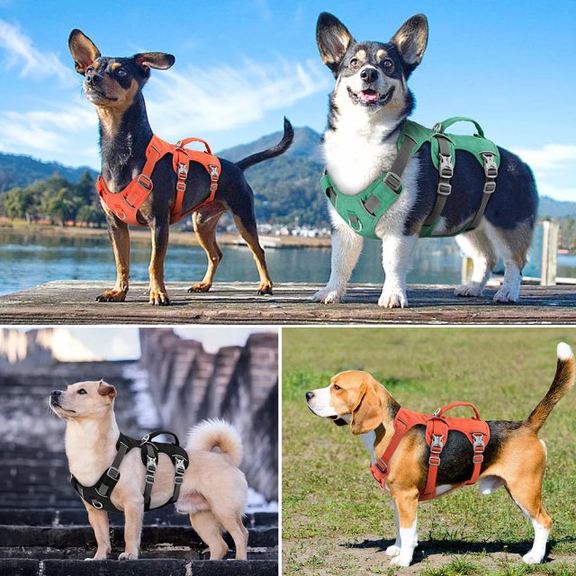 Reflective Nylon Dog Harness with Handle - Image 5