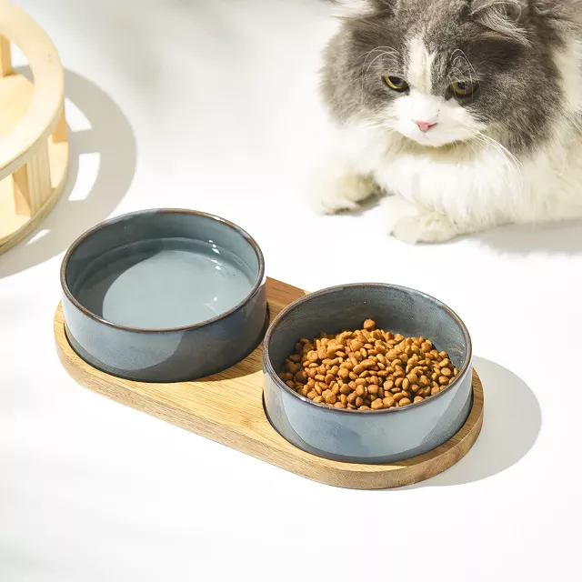 Ergonomic Ceramic Cat & Dog Food Bowl with Spine Protection and Anti-Rollover Design - Image 3