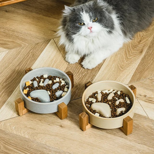 Ceramic Slow Feeder Bowl for Dogs & Cats - Image 2