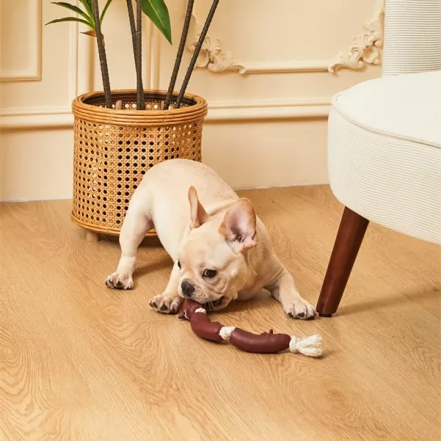 Durable Cotton Rope & Vinyl Sausage Toy for Pets - Image 4