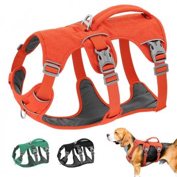 orange reflective dog harness