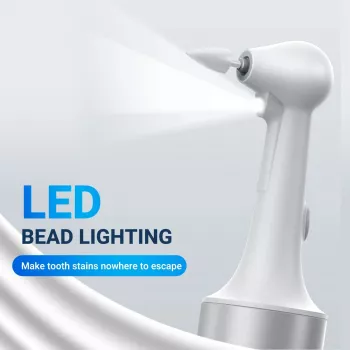 Electric Dental Scaler for Tartar and Stain Removal