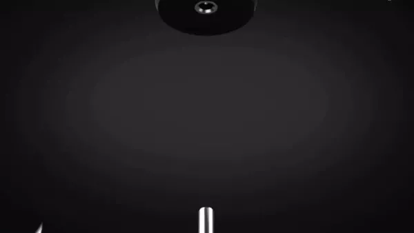 01 (1)