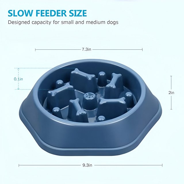 Slow Feeder Dog Bowl for Healthy Eating - Image 6