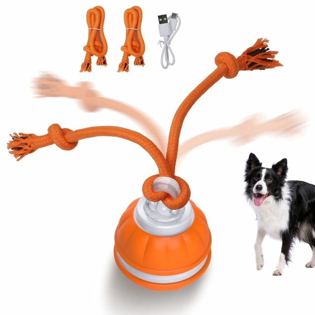 Interactive Motion-Activated Dog Toy Ball with Chew Rope and Teeth Cleaning - Image 7