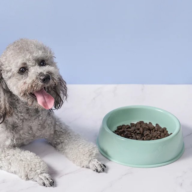 Durable Wheat Stalk Plastic Pet Food and Water Bowls for Small to Medium Dogs and Cats - Image 3