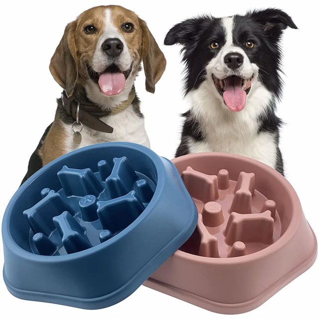 Slow Feeder Dog Bowl for Healthy Eating - Image 5