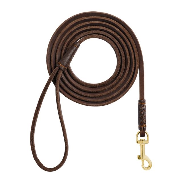 Genuine Leather Dog Leash with Comfortable Handle for Small Dogs and Cats - Image 7