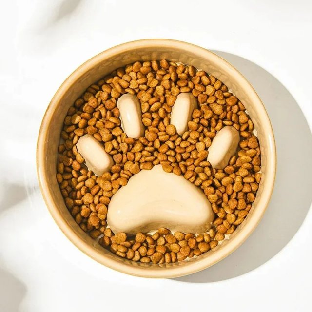 Japanese-Style Ceramic Slow Feeding Bowl for Pets - Image 5