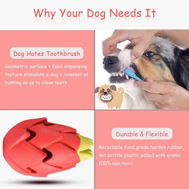Indestructible Pitaya Dog Chew Toy for Aggressive Chewers - Image 3