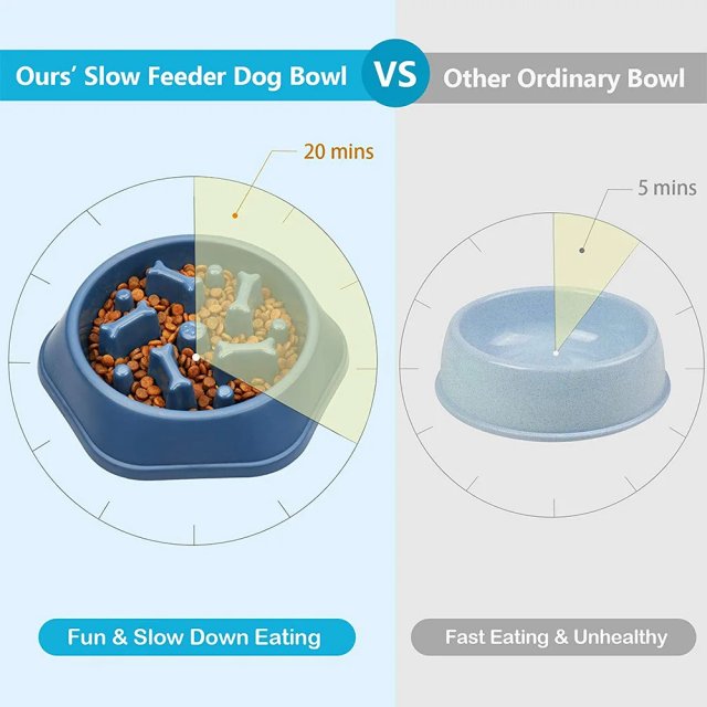 Slow Feeder Dog Bowl for Healthy Eating - Image 4