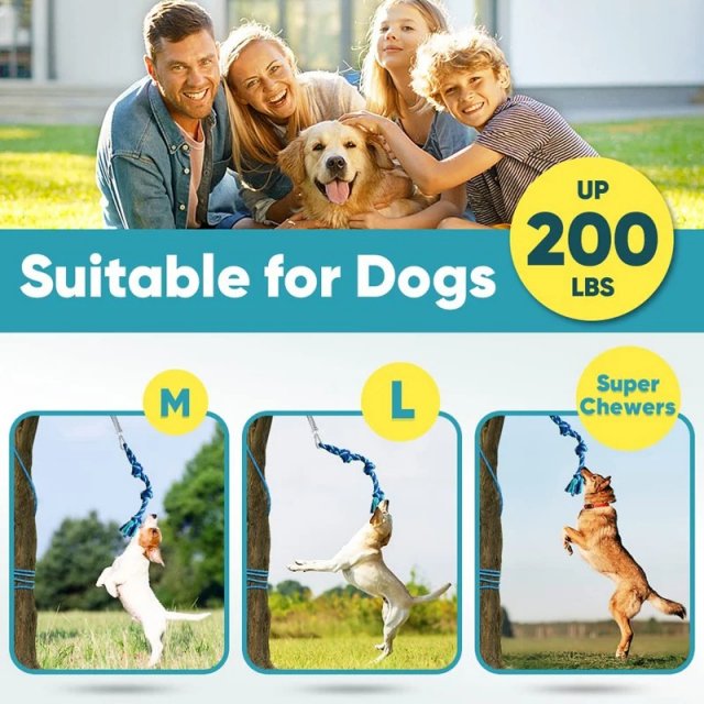 Bungee Dog Tug Toy - Image 4