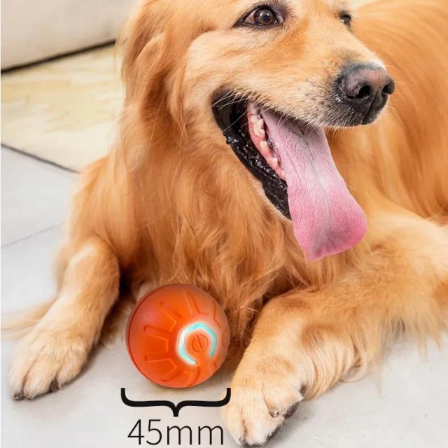 Interactive Smart Dog Ball Toy - Image 4