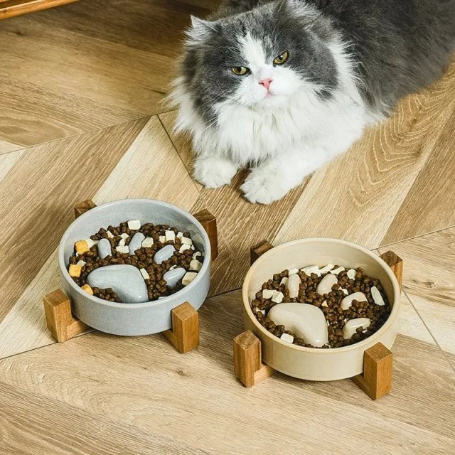 Japanese-Style Ceramic Slow Feeding Bowl for Pets - Image 2