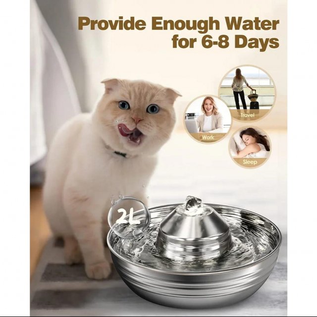 2L Stainless Steel Cat and Dog Water Fountain with Quiet Pump for Multiple Pets - Image 4