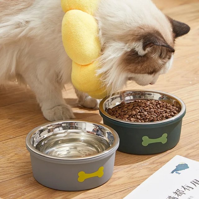 Cute Silicone Non-Slip Pet Bowl for Dogs and Cats - Image 2