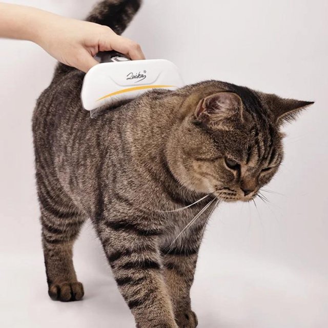 Arc Pet Comb for Dogs and Cats - Image 6