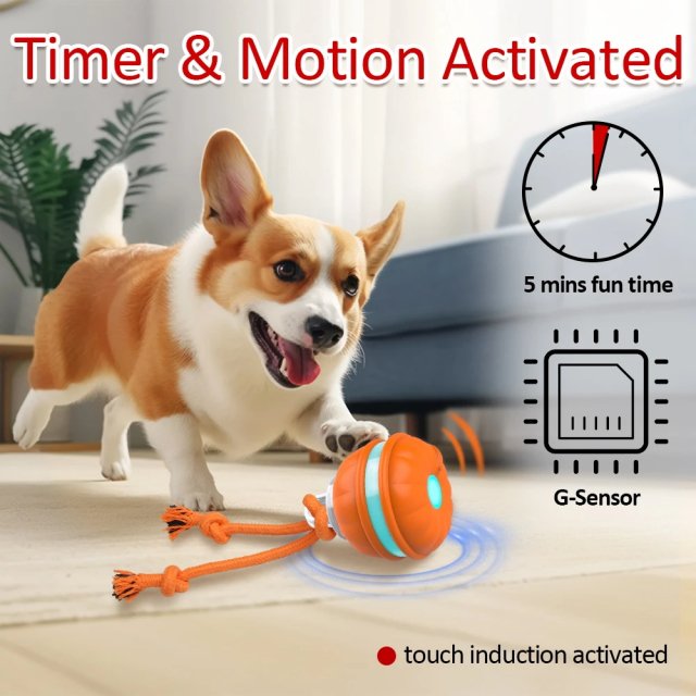 Interactive Motion-Activated Dog Toy Ball with Chew Rope and Teeth Cleaning - Image 3