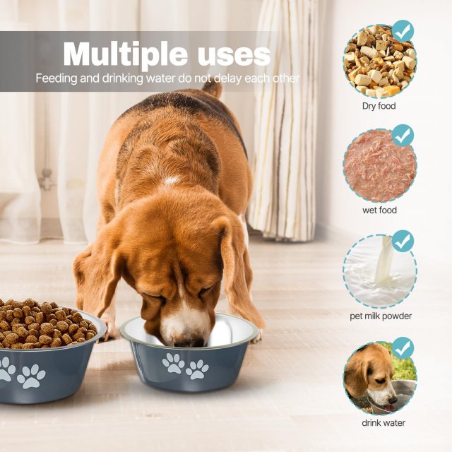 Non-slip Stainless Steel Dog Bowls for Small, Medium, and Large Pets - Image 3