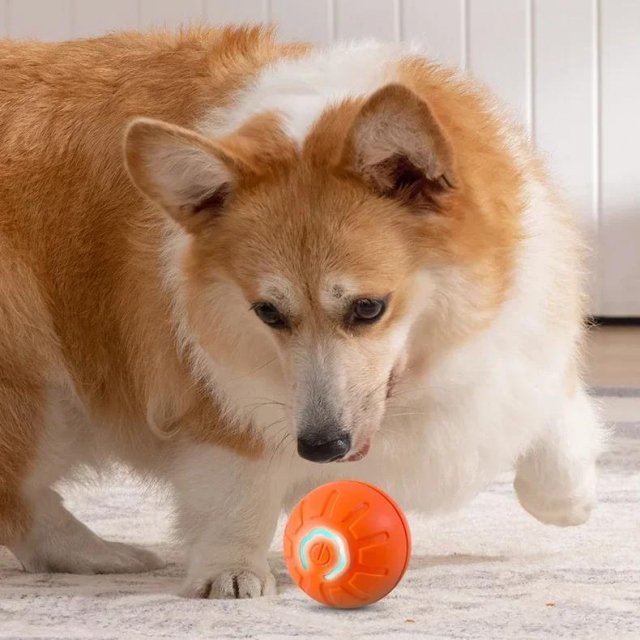 Interactive Smart Dog Ball Toy - Image 5