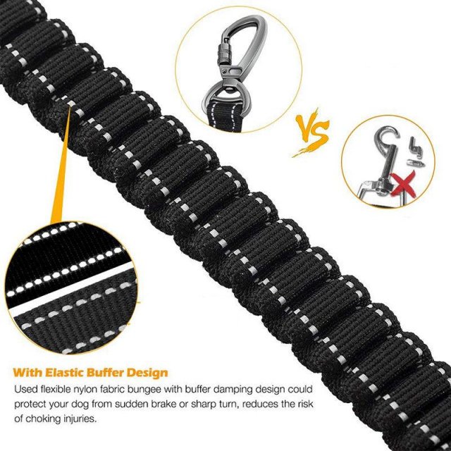 Durable Reflective Bungee Dog Leash - Image 3