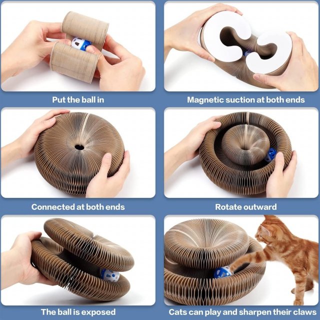 Magic Organ Cat Scratcher Toy - Image 5