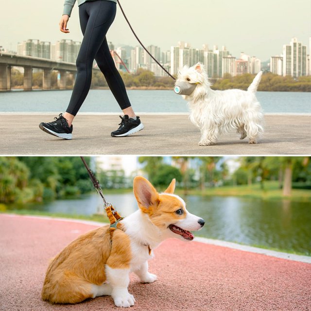 Genuine Leather Dog Leash with Comfortable Handle for Small Dogs and Cats - Image 6