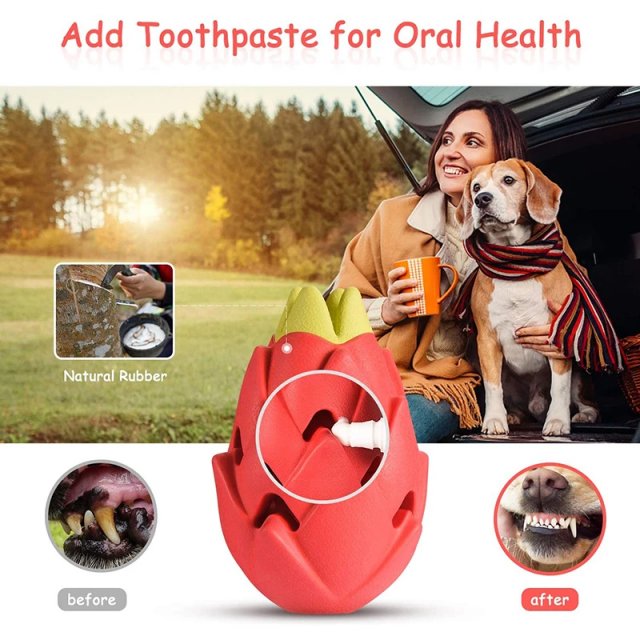 Indestructible Pitaya Dog Chew Toy for Aggressive Chewers - Image 2