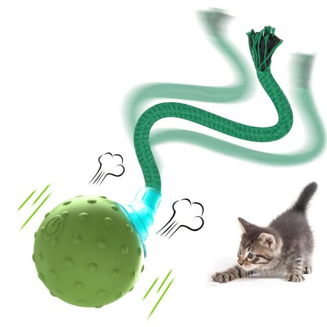 Interactive Motion-Activated Cat Toy with Rolling Ball, Teaser Tail, and Bird Sounds - Image 7