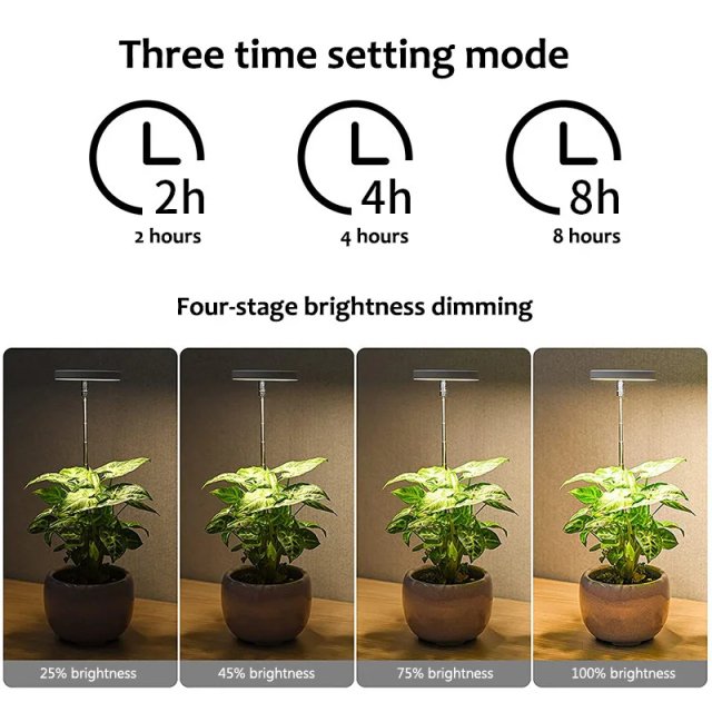 LED Angel Ring Plant Grow Light with Adjustable Height & Timer - Image 2